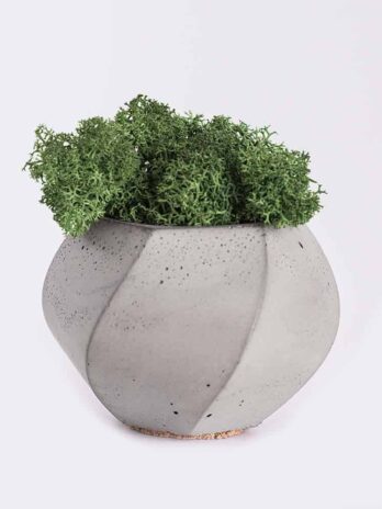 Home plant4 free img